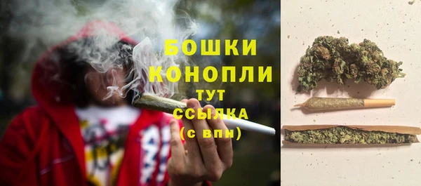 соль ск Сясьстрой