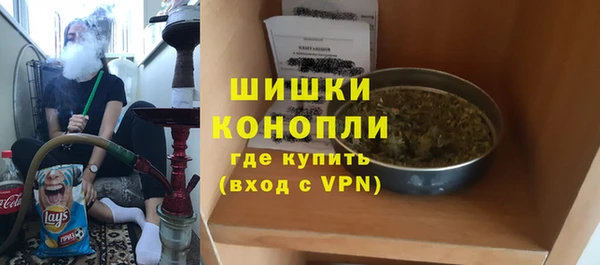 дмт Тавда