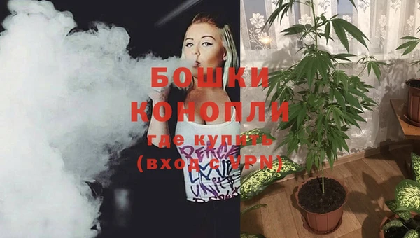 дмт Тавда