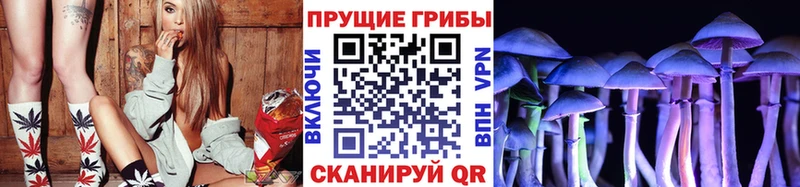 Галлюциногенные грибы Cubensis  Семёнов 